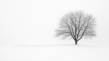Winter landscape tree silhouette snowy field photography minimalist horizontal pure white background