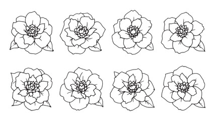Camellia line art flower drawing for minimalist wall art