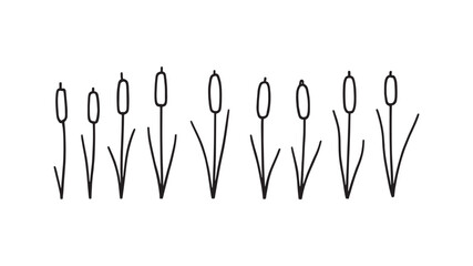 Cattail line art illustration simple design stylized plant figure artwork