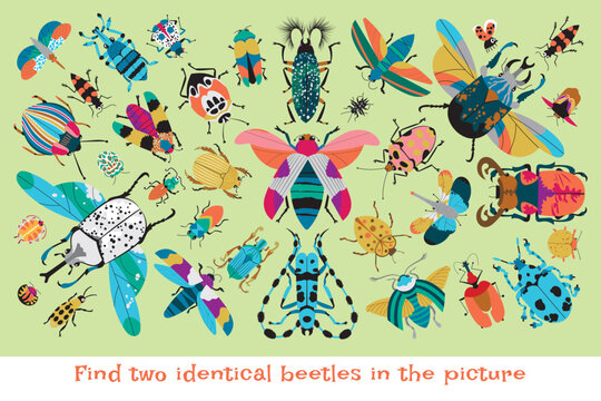 Find two identical beetles in the picture. Puzzle, vector illustration for kids