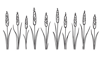 Cattail line art illustration simple design stylized plant figure artwork