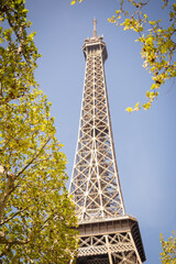 Dreamy spring details of the Eiffel Tower - Paris