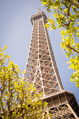 Dreamy spring details of the Eiffel Tower - Paris