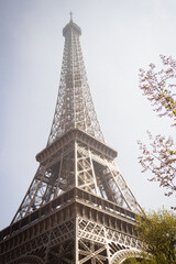 Dreamy spring Eiffel Tower - Paris