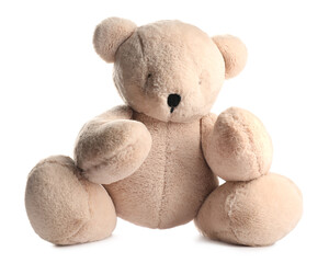 Cute teddy bear isolated on white. Stuffed animal