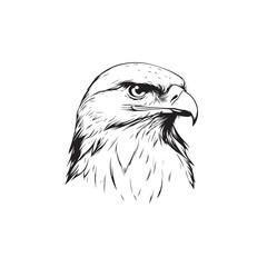 the evil eagle