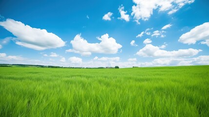 Obraz premium Beautiful landscape with a field of wheat Created Photo
