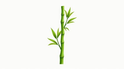 Fototapeta premium Green Bamboo Shoot With Leaves Illustration