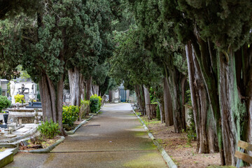 Florence Firenze city in toscana North Italy