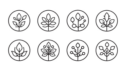 Sedum line art illustration monochrome design for elegant spaces