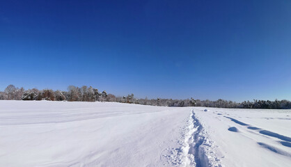 Obraz premium Winter landscape in Alsace France with snow-covered fields and clear blue sky showcasing natural beauty and tranquility in winter season concept