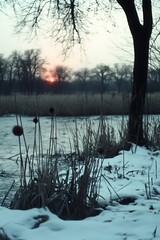 Winter sunset over frozen pond
