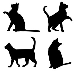 black cat silhouettes