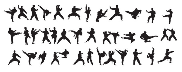 Martial arts silhouette