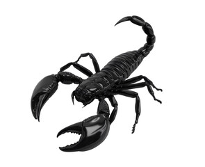 Highly detailed black scorpion with open pincers and curved tail, isolated on a light background