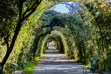 Florence Firenze city in toscana North Italy