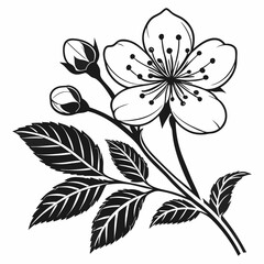 black and white flower vector silhouette 