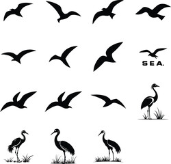 set of birds