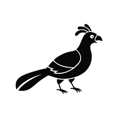 BirdVector