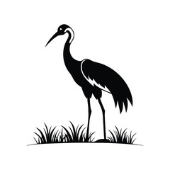 Obraz premium stork on the grass