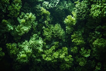Lush green foliage wall texture
