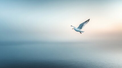 Obraz premium Seagull soars over tranquil sea at dawn with misty, soft, gradient background