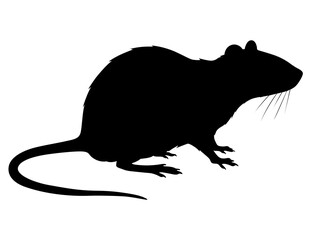 Silhouette of a Rat Rodent Side View Vector Graphics