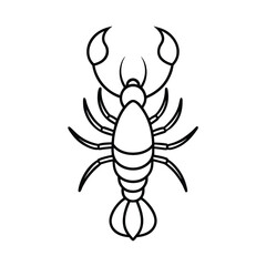 lobster black line art vector on white background