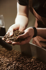 Person checking quality of roasted coffee beans