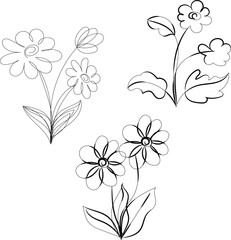 Three Simple Line Drawings of Flowers and Leaves