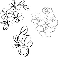 Three Unique Black and White Floral Designs for Decoration