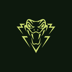  Fierce logo design featuring a stylized snake head