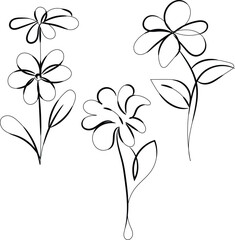 Simple Line Art Flower Drawings Botanical Illustrations