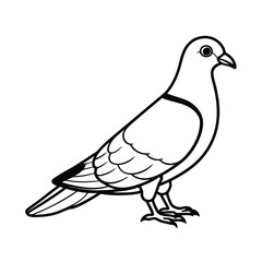 pigeon line art vector on white background