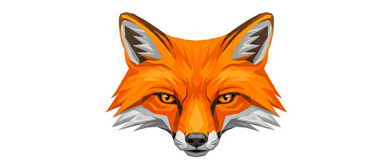 Obraz premium Vibrant and dynamic image of a fox's face