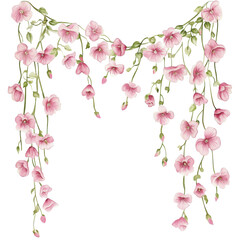 Pink floral vine decor on transparent Background