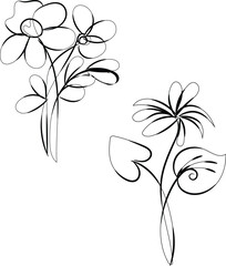 Elegant Line Art Floral Designs Two Simple Flower Illustrations