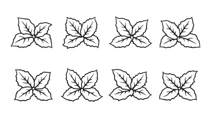 Coleus line art illustration delicate plant sketch for modern interiors