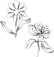 Simple Line Art Drawings of Two Different Flowers