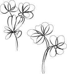 Elegant Line Art Floral Designs Two Simple Flower Illustrations