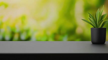 sleek black table showcases vibrant green plant in pot, set against soft, blurred background of greenery. This serene composition evokes sense of calm and tranquility