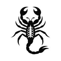 scorpion black silhouette vector on white background