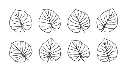Alocasia line art simple nature-inspired sketch with detailed leaves