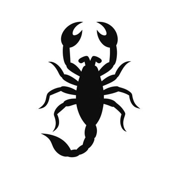 recommend clip art: scorpion black silhouette vector on white background