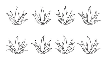 Aloe vera leaf line art botanical drawing simple and elegant design