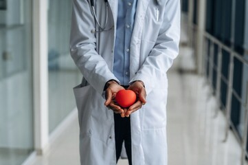 Little heart, cardiologist. Close up view of doctor in coat indoors