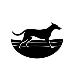 black silhouette of a dog
