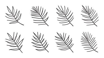 Areca palm leaf line art botanical illustration for wall art
