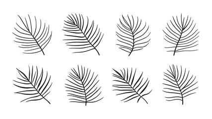 Areca palm leaf line art minimalist style for contemporary spaces