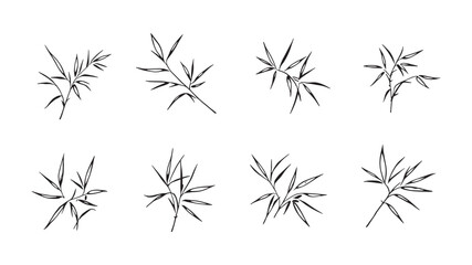 Bamboo leaf line art modern minimalist illustration for wall art